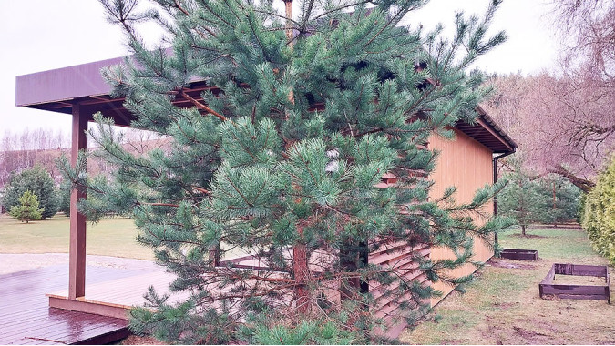 Гостевой летний дом Денвер №5