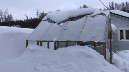 Теплица КЛАССИКА (сосна) 2,50х3,42 м 